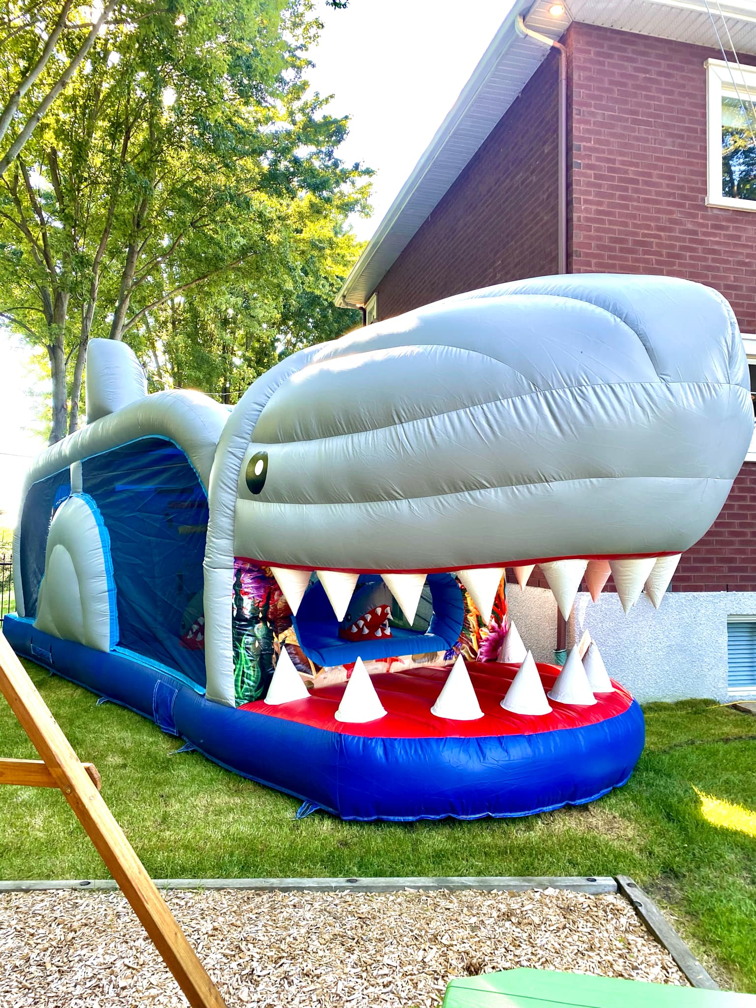 Course à obstacles - Requin