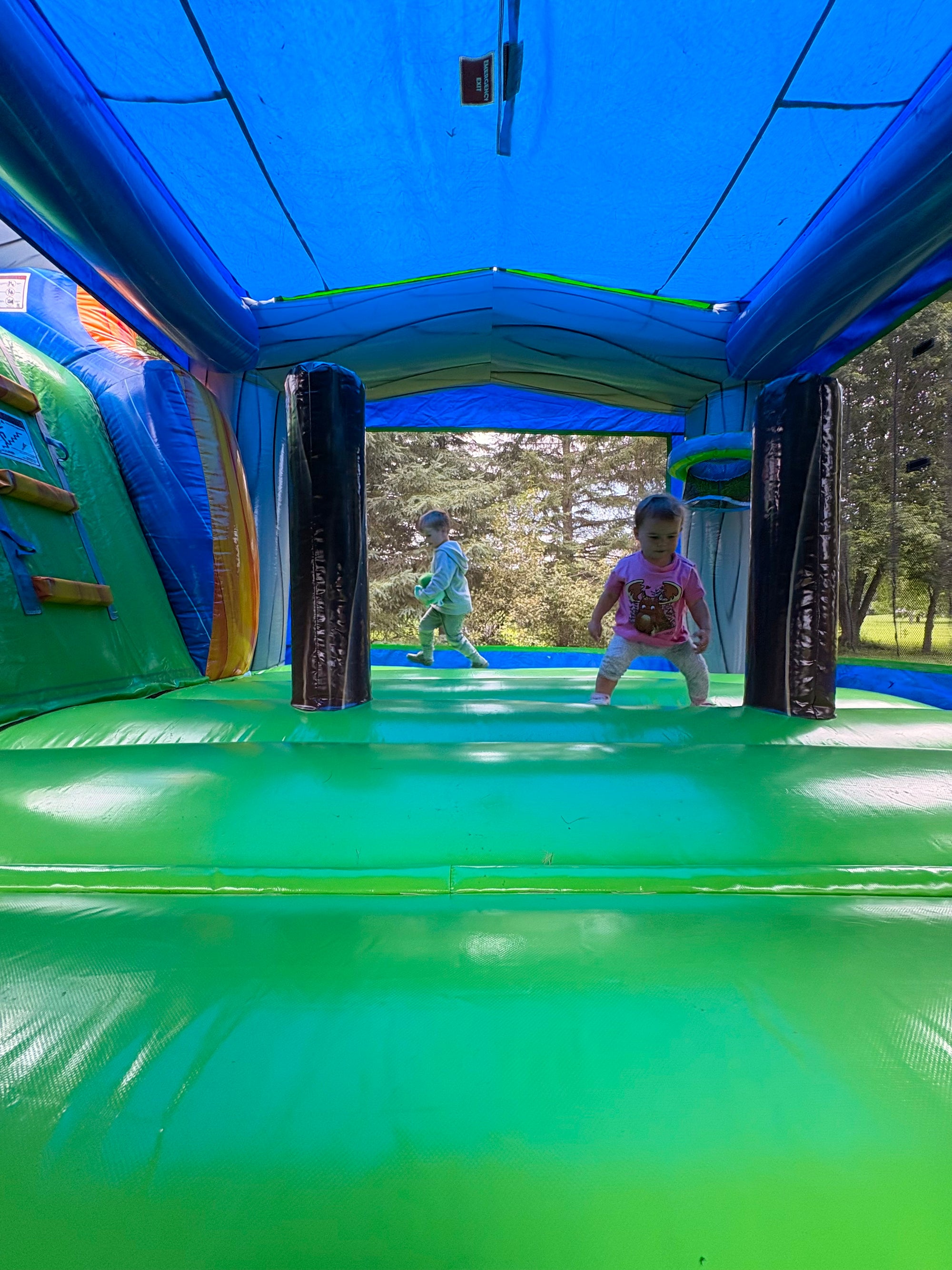 T-Rex + Glissade d'eau